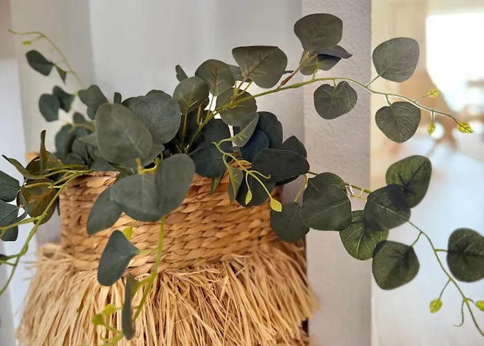 Do Atlantico 알부페이라