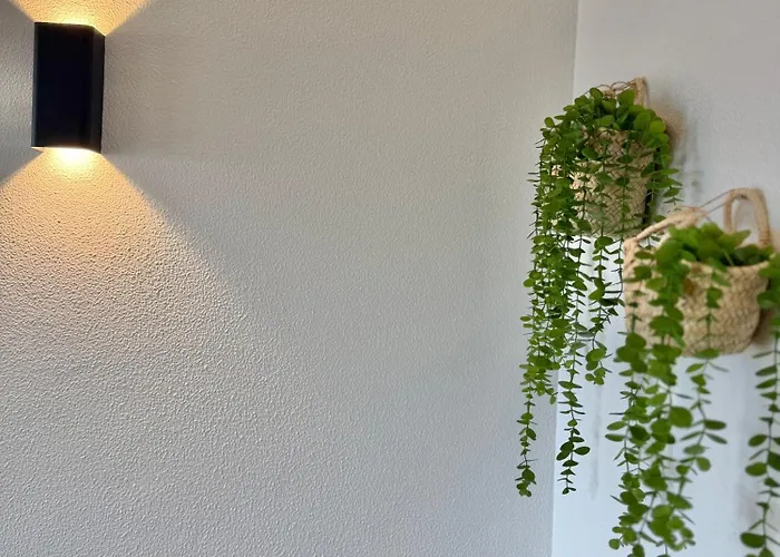 Do Atlantico * 알부페이라